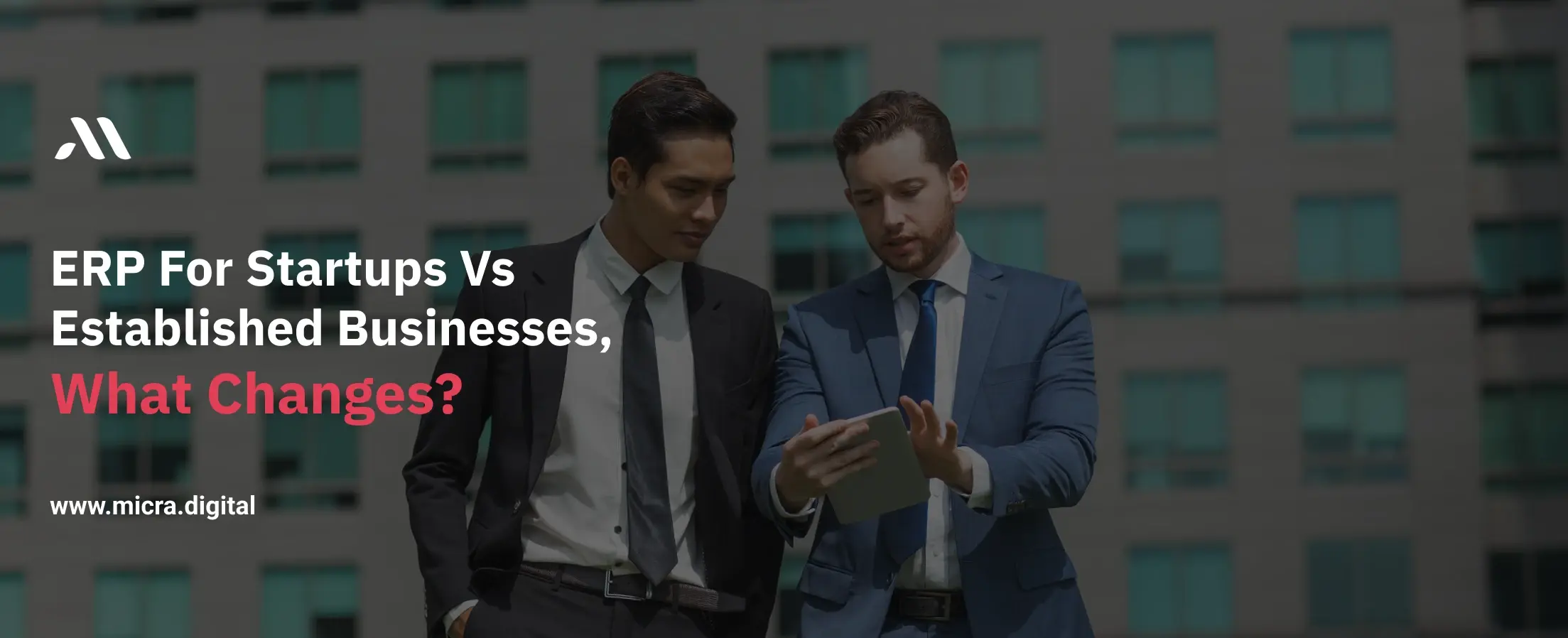 ERP for Startups vs Established Businesses. What Changes?
